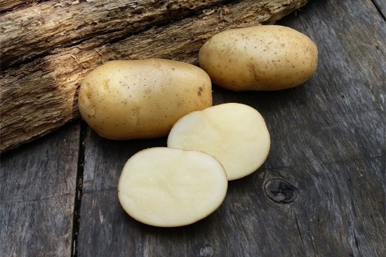 Ультраранний и ранний картофель: сорта с фото и описанием, отзывы25