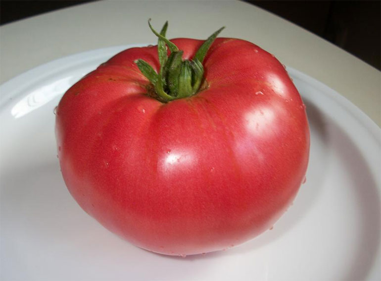 Сорт помидор Чудо земли — характеристика, описание плодов, отзывы огородников, фото0