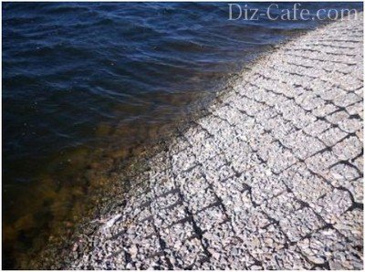 Методы укрепления прибрежной зоны естественного или искусственного водоема