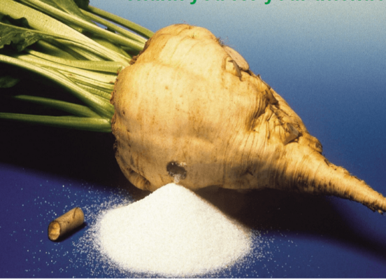 Выращивание сахарной свеклы: от посева до уборки