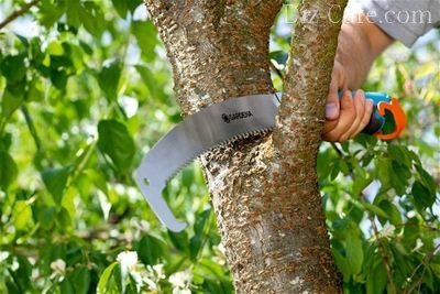 Выбор правильной ножовки: в поисках лучшей ручной пилы по дереву