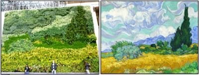 Яркие образы в вертикальном озеленении: рекомендации по выбору растений и методы посадки