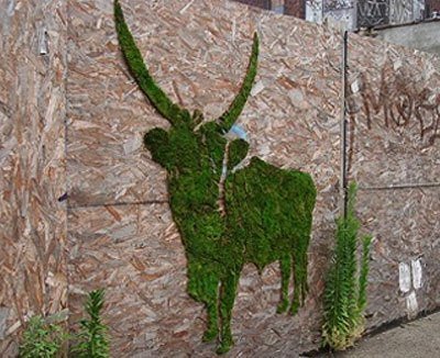 Сад мхов — секреты создания декоративных зеленых шедевров на даче