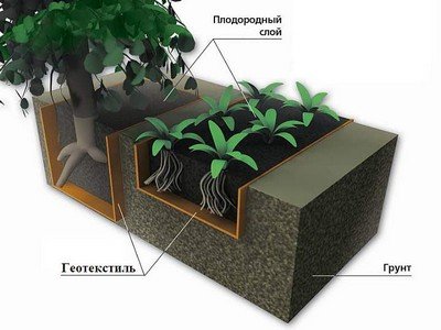 Способы использования геотекстиля в ландшафтном дизайне и озеленении