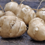 Топинамбур или земляная груша: богатый и полезный урожай без затрат