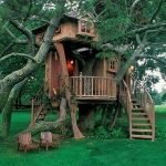 Дом на дереве своими руками: основные нюансы монтажа + примеры обустройства