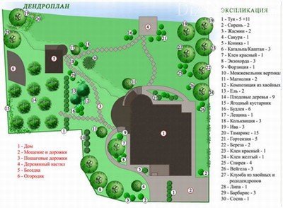 Инструкция по формированию плана озеленения участка и учетной ведомости