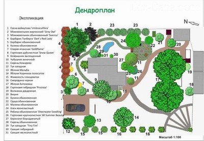 Инструкция по формированию плана озеленения участка и учетной ведомости
