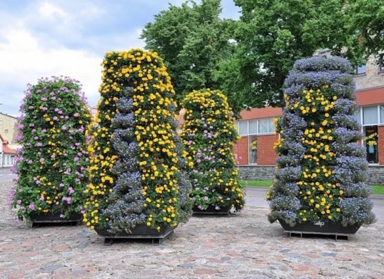 Декорируем сад петуниями: 50 отличных вариантов дизайна сада
