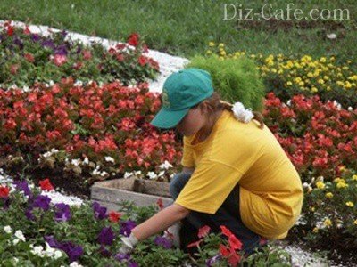 Организация эффектного цветника у дома на даче: пять вариантов на любой вкус