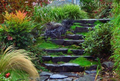Как сделать ступеньки в саду: оригинальные варианты для многоуровневых участков