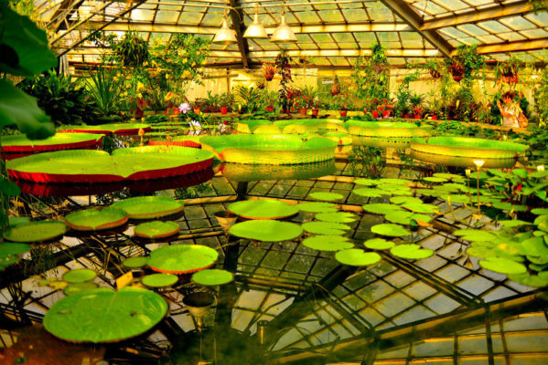 6 прекрасных ботанических садов России, в которых можно получить множество интересных идей для своего цветника