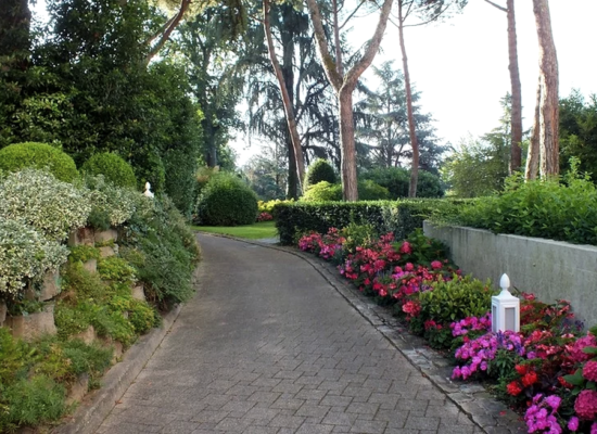 Украшаем сад петуниями: 50 лучших идей дизайна сада