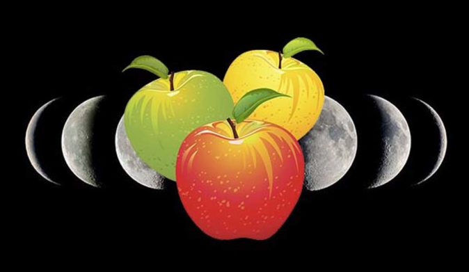 Высадка яблони осенью: исчерпывающее руководство для начинающих