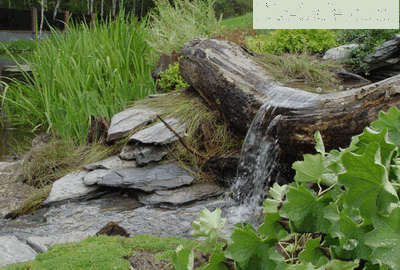 Проявления воды в ландшафтном дизайне: 5 вариантов водных сооружений на любой вкус