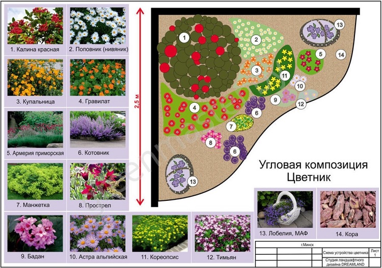 Виды цветников для дачи — идеи создания и реализации проекта